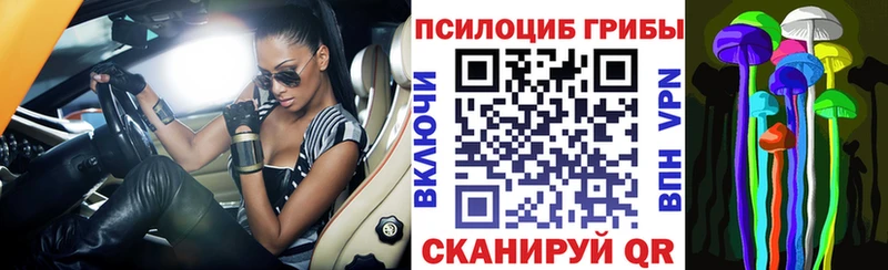 darknet состав  Туапсе  Галлюциногенные грибы Psilocybine cubensis 